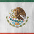 Mexico Flag Distressed iPhone XR Pro Case